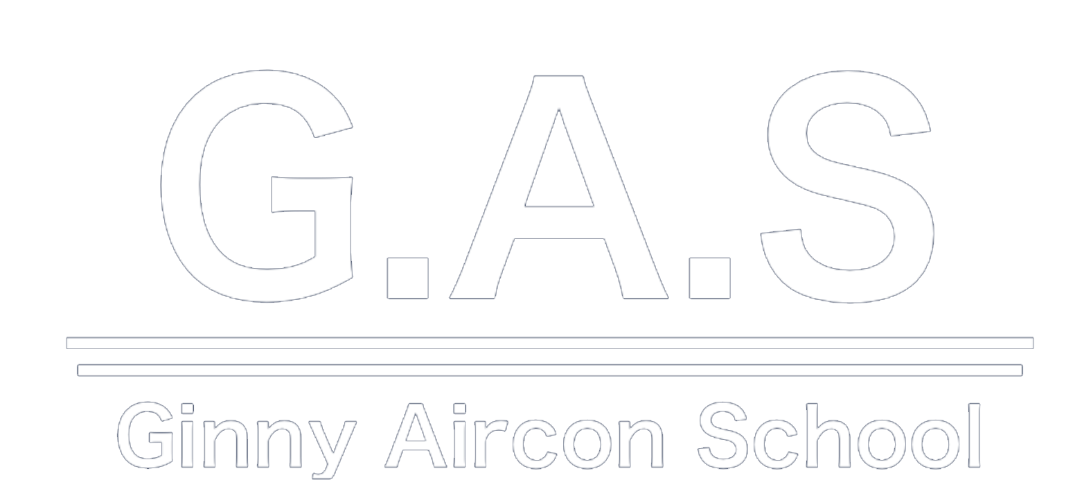 Ginny Aicon Schoolのロゴ